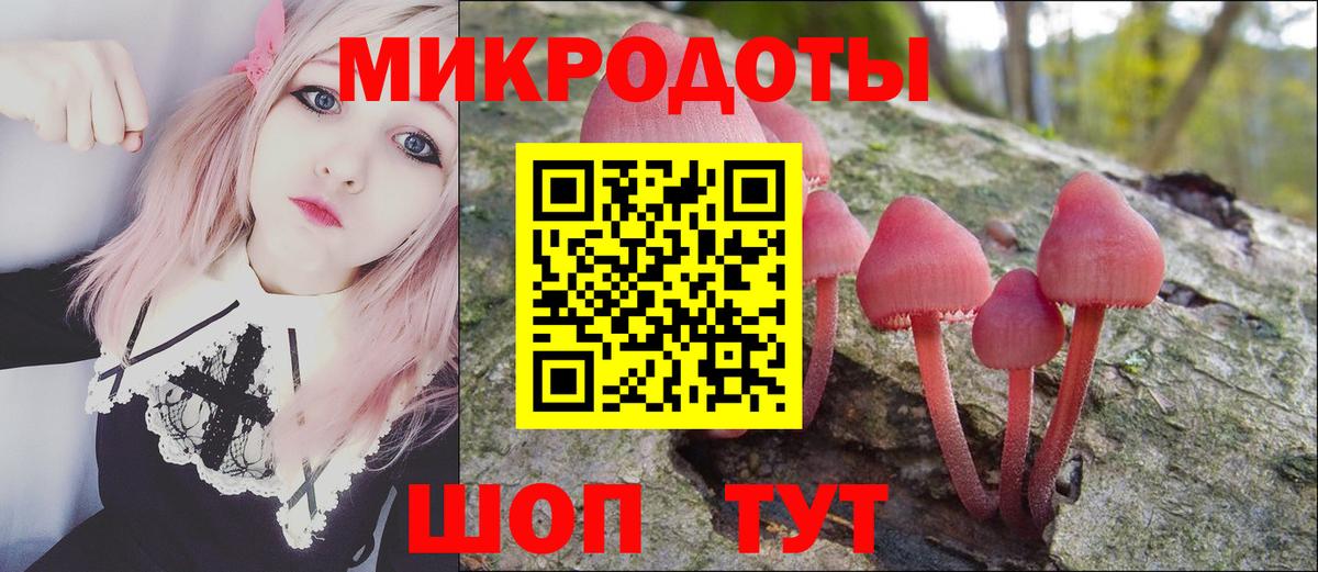 Псилоцибиновые грибы Magic Shrooms  Вход с VPN  Алексеевка  Псилоцибиновые грибы Psilocybine cubensis 